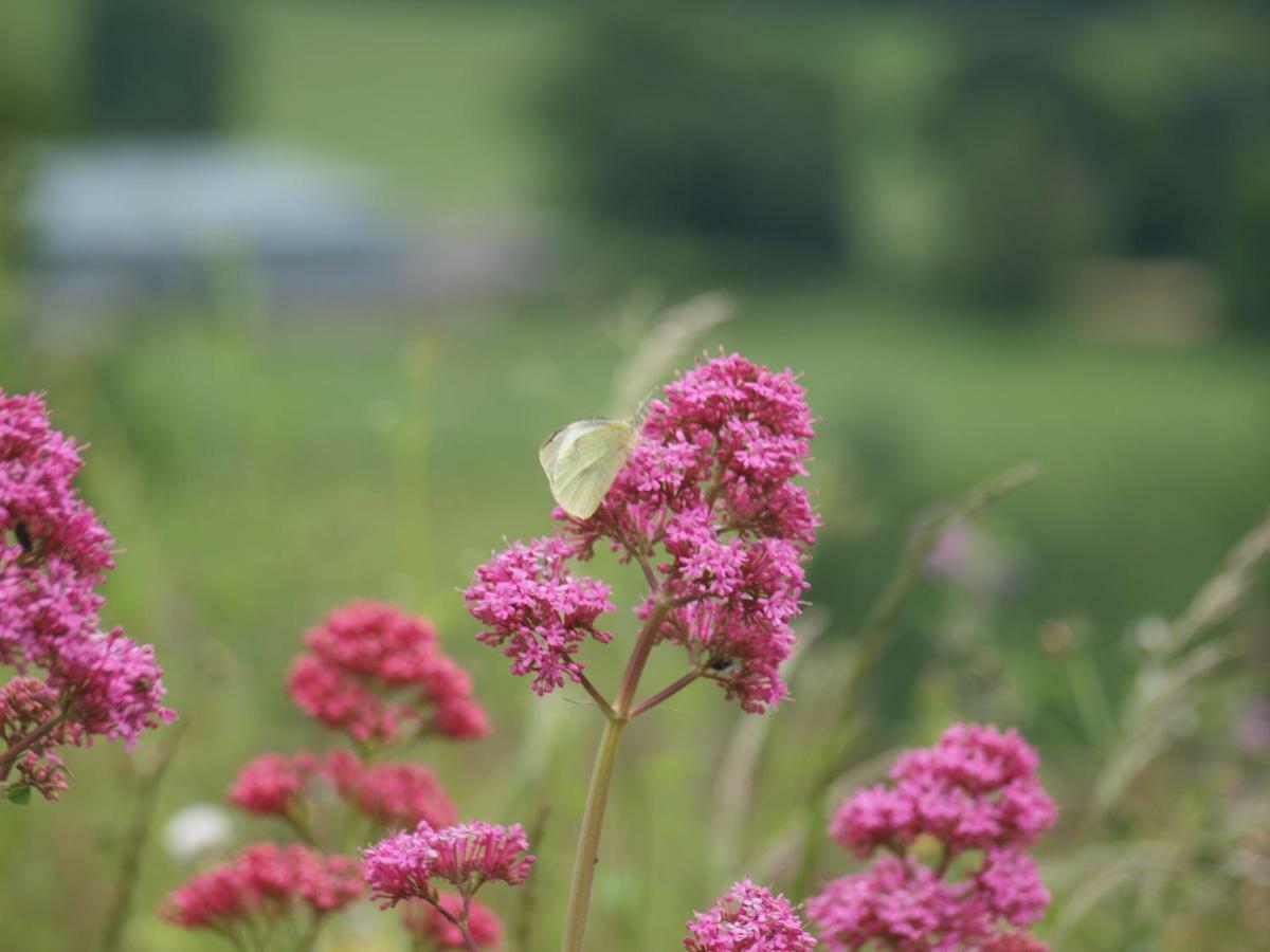 Incheoch Farm Cottage Kilry Esterno foto